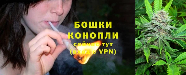 эйфоретик Вязьма