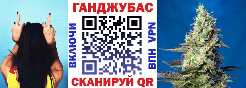 Канабис план Дмитров